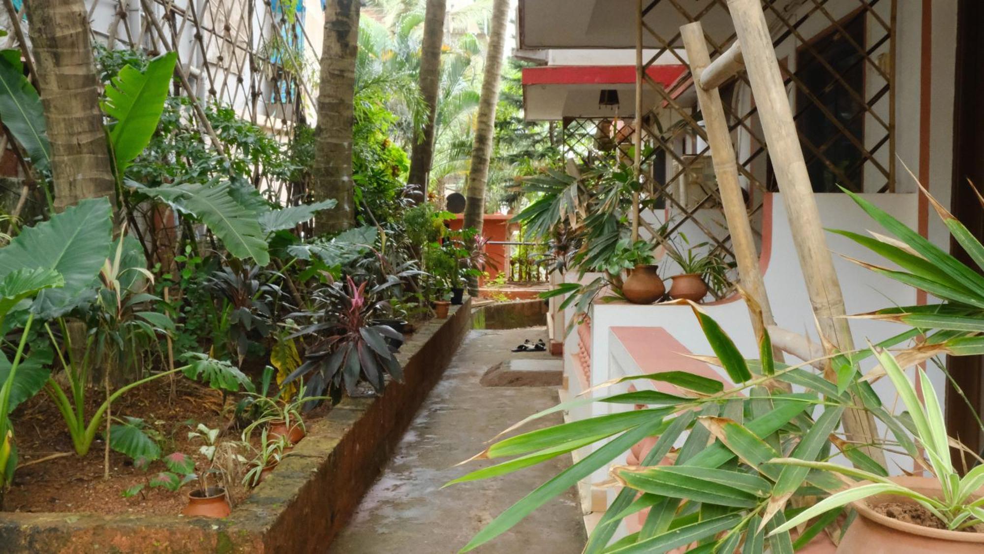 Hotel Coco Moon Morjim Esterno foto